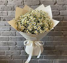 Букет цветов из:  Ромашки в Новолакском