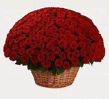 Премиум букет из: Розы в Новолакском