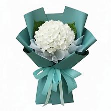 Букет цветов из:  Гортензия #REPLACE_PRED# Новолакском